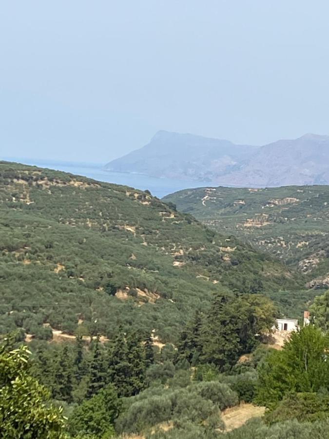 Αρχοντικό Στα Τοπόλια Villa Kalathenai ภายนอก รูปภาพ